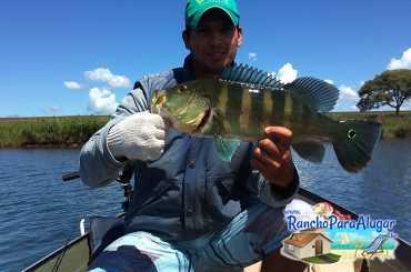 Renan Peraro Guia de Pesca Profissional Guia de Pesca e Piloteiro em Miguelopolis - Renan Peraro em Miguelopolis SP
