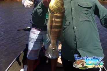 Renan Peraro Guia de Pesca Profissional Guia de Pesca e Piloteiro em Miguelopolis - Renan Peraro em Miguelopolis SP