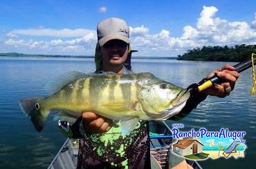 Renan Peraro Guia de Pesca Profissional Guia de Pesca e Piloteiro em Miguelopolis - Renan Peraro Guia de Pesca e Piloteiro em Miguelópolis