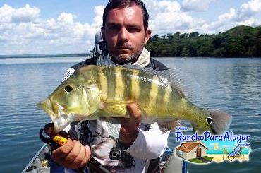 Renan Peraro Guia de Pesca Profissional Guia de Pesca e Piloteiro em Miguelopolis - Renan Peraro Guia de Pesca e Piloteiro em Miguelópolis
