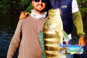 Renan Peraro Guia de Pesca Profissional Guia de Pesca e Piloteiro em Miguelopolis - Renan Peraro Guia de Pesca em Miguelópolis SP