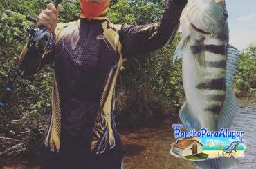 Lucio Oliveira Guia de Pesca e Piloteiro em Miguelopolis - Lucio Oliveira Guia de Pesca e Piloteiro em Miguelópolis
