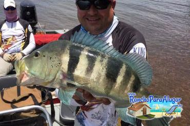 Lucio Oliveira Guia de Pesca e Piloteiro em Miguelopolis - Lucio Oliveira Guia de Pesca e Piloteiro em Miguelópolis