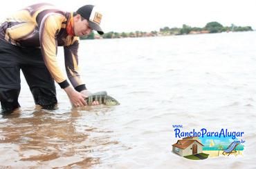 Lucio Oliveira Guia de Pesca e Piloteiro em Miguelopolis - Lucio Oliveira Guia de Pesca e Piloteiro em Miguelópolis