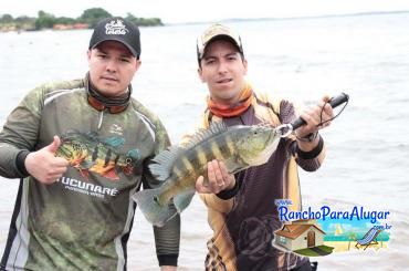 Lucio Oliveira Guia de Pesca e Piloteiro em Miguelopolis - Lucio Oliveira Guia de Pesca e Piloteiro em Miguelópolis