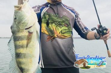 Lucio Oliveira Guia de Pesca e Piloteiro em Miguelopolis - Lucio Oliveira Guia de Pesca e Piloteiro em Miguelópolis