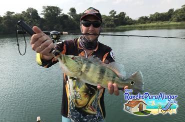 Lucio Oliveira Guia de Pesca e Piloteiro em Miguelopolis - Lucio Oliveira Guia de Pesca e Piloteiro em Miguelópolis