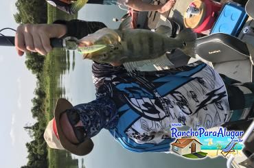 Lucio Oliveira Guia de Pesca e Piloteiro em Miguelopolis - Lucio Oliveira Guia de Pesca e Piloteiro em Miguelópolis