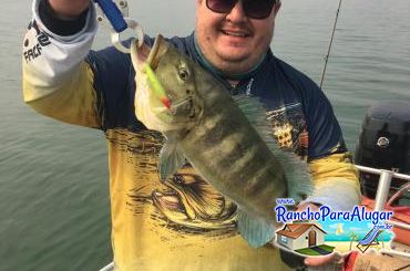 Lucio Oliveira Guia de Pesca e Piloteiro em Miguelopolis - Lucio Oliveira Guia de Pesca e Piloteiro em Miguelópolis