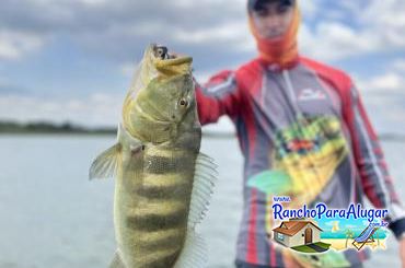 Lucio Oliveira Guia de Pesca e Piloteiro em Miguelopolis - Lucio Oliveira Guia de Pesca e Piloteiro em Miguelópolis