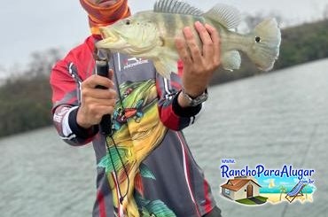 Lucio Oliveira Guia de Pesca e Piloteiro em Miguelopolis - Lucio Oliveira Guia de Pesca e Piloteiro em Miguelópolis