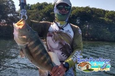 Paulo Benício Guia de Pesca e Piloteiro em Miguelopolis - Paulo Benício Guia de Pesca e Piloteiro em Miguelópolis