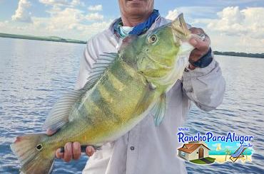 Paulo Benício Guia de Pesca e Piloteiro em Miguelopolis - Paulo Benício Guia de Pesca e Piloteiro em Miguelópolis