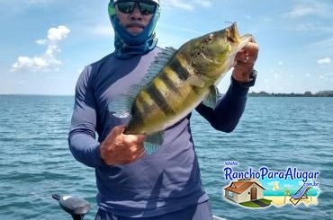Paulo Benício Guia de Pesca e Piloteiro em Miguelopolis - Paulo Benício Guia de Pesca e Piloteiro em Miguelópolis