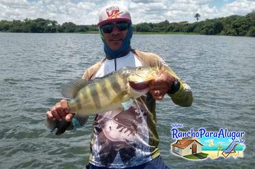 Paulo Benício Guia de Pesca e Piloteiro em Miguelopolis - Paulo Benício Guia de Pesca e Piloteiro em Miguelópolis