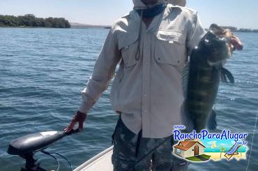 Paulo Benício Guia de Pesca e Piloteiro em Miguelopolis - Paulo Benício Guia de Pesca e Piloteiro em Miguelópolis