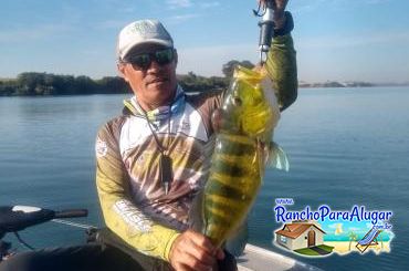Paulo Benício Guia de Pesca e Piloteiro em Miguelopolis - Paulo Benício Guia de Pesca e Piloteiro em Miguelópolis