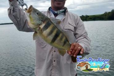 Paulo Benício Guia de Pesca e Piloteiro em Miguelopolis - Paulo Benício Guia de Pesca e Piloteiro em Miguelópolis
