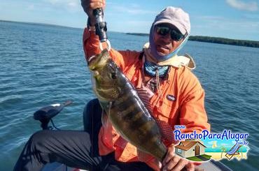 Paulo Benício Guia de Pesca e Piloteiro em Miguelopolis - Paulo Benício Guia de Pesca e Piloteiro em Miguelópolis