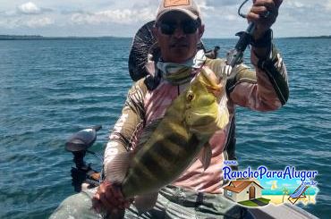 Paulo Benício Guia de Pesca e Piloteiro em Miguelopolis - Paulo Benício Guia de Pesca e Piloteiro em Miguelópolis