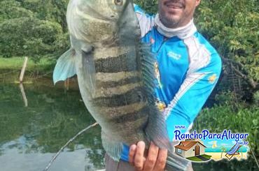 Pezao Guia de Pesca Guia de Pesca e Piloteiro em Miguelopolis - Alugamos Lancha para Pesca e Jet Sky f Guia de Pesca e Piloteiro em Miguelópolis