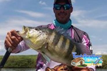 Pezao Guia de Pesca Guia de Pesca e Piloteiro em Miguelopolis - Pezao Piloteiro Guia de Pesca e Piloteiro em Miguelópolis