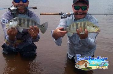Pezao Guia de Pesca Guia de Pesca e Piloteiro em Miguelopolis - Pezao Piloteiro Guia de Pesca e Piloteiro em Miguelópolis