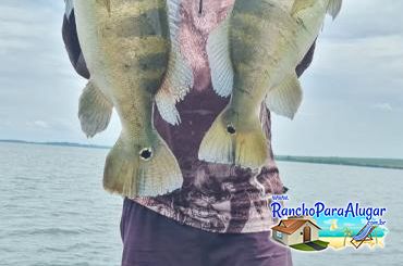 Pezao Guia de Pesca Guia de Pesca e Piloteiro em Miguelopolis - Pezao Piloteiro Guia de Pesca e Piloteiro em Miguelópolis