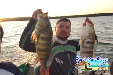 Wellington Japonês Guia de Pesca e Piloteiro em Miguelopolis - Wellington Japonês Guia de Pesca e Piloteiro em Miguelópolis