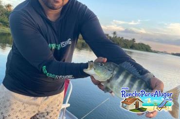 Wellington Japonês Guia de Pesca e Piloteiro em Miguelopolis - Wellington Japonês Guia de Pesca e Piloteiro em Miguelópolis