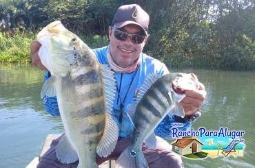 Pezao Guia de Pesca Guia de Pesca e Piloteiro em Miguelopolis - Pezao Guia de Pesca Guia de Pesca e Piloteiro em Miguelópolis