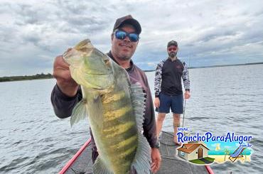 Pezao Guia de Pesca Guia de Pesca e Piloteiro em Miguelopolis - Pezao Guia de Pesca Guia de Pesca e Piloteiro em Miguelópolis